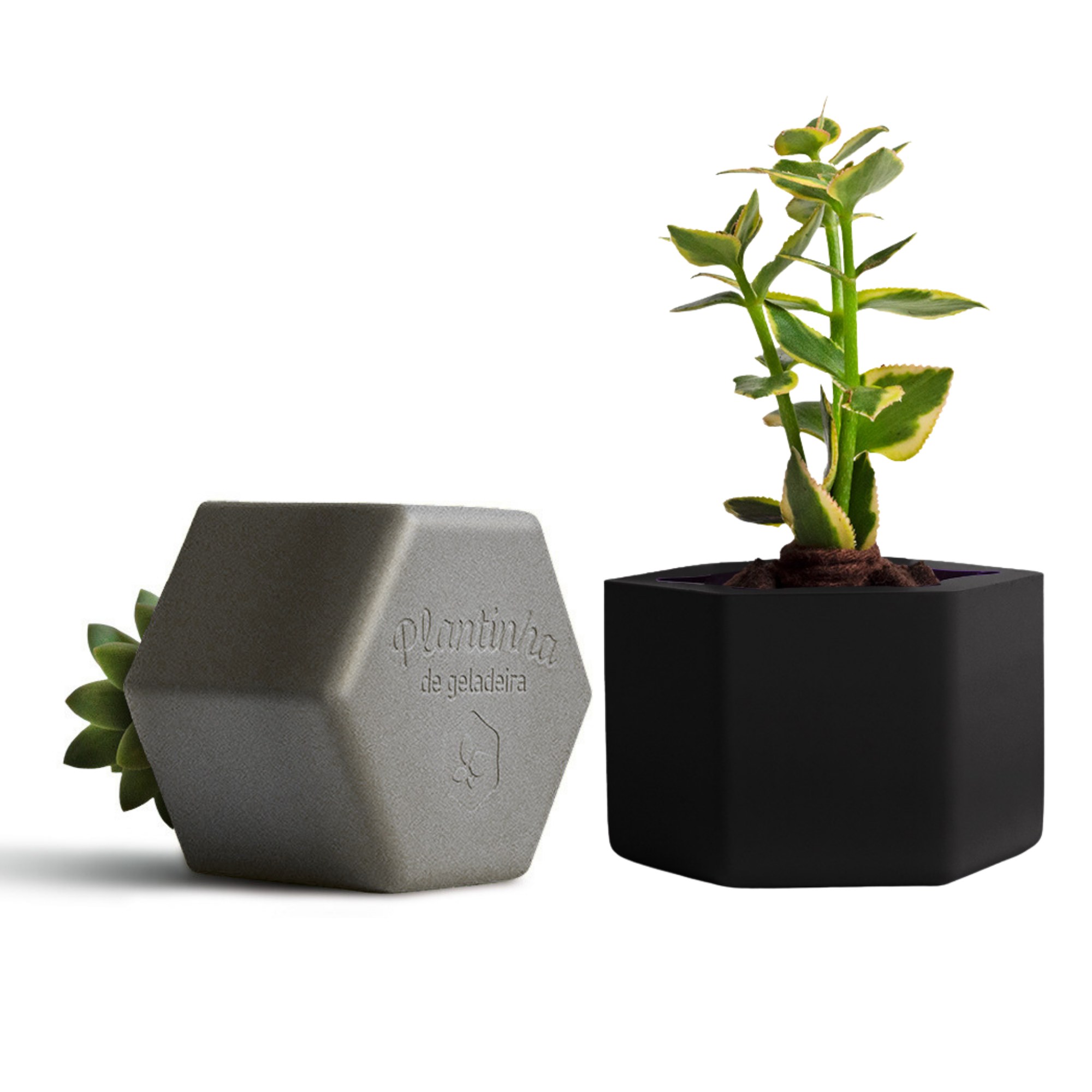 Plantinha de Geladeira personalizada para empresas