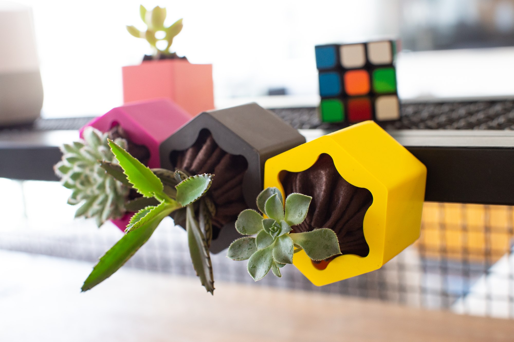Vasos hexagonais rosa, preto e amarelo com suculentas na bancada